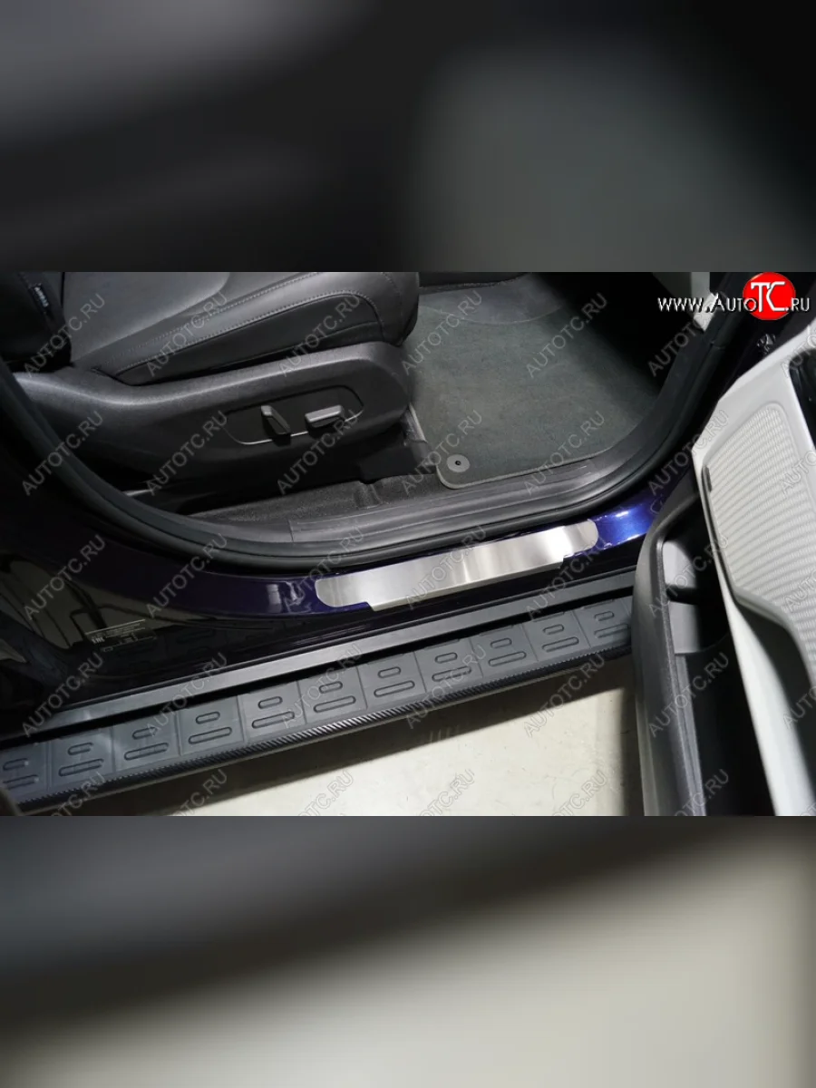 Накладки на пороги передние ТСС Тюнинг KIA Carnival KA4 минивэн дорестайлинг (2020-2023) (Лист шлифованный)  в Перми Пермском крае