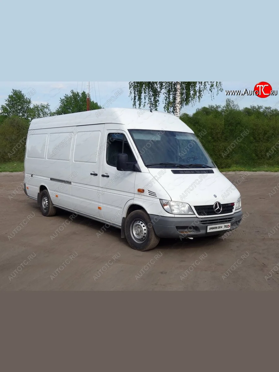 Защита порогов задняя 42,4 мм ТСС Тюнинг Mercedes-Benz Sprinter W905 рестайлинг (2000-2006)  в Перми Пермском крае