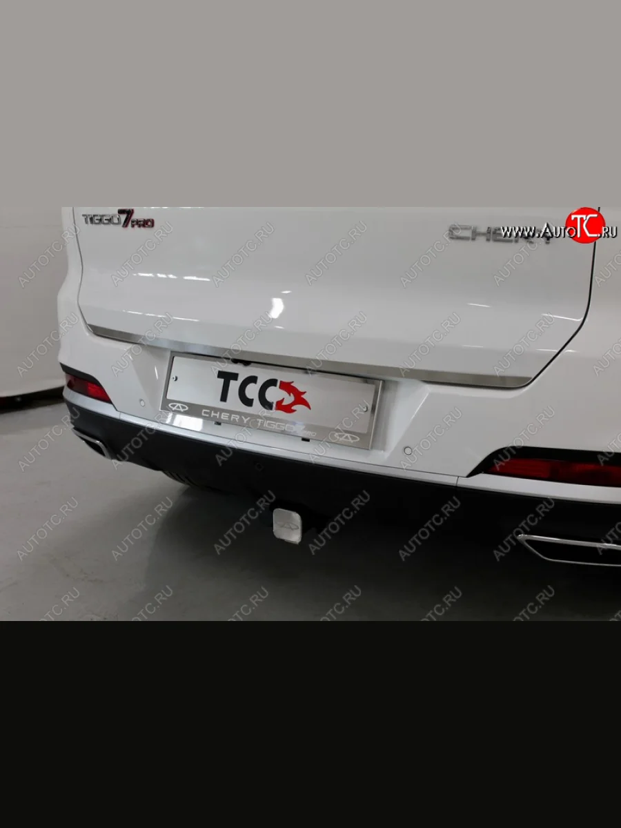Накладка на заднюю дверь, ТСС Тюнинг  Chery Tiggo 7 PRO (2019-2025) (Лист шлифованный)  в Воронеже Воронежской области