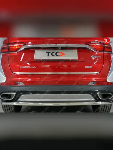 Накладка на заднюю дверь, ТСС Тюнинг (Лист шлифованный) Geely Tugella FY11,HPBA4 рестайлинг (2022-2025)