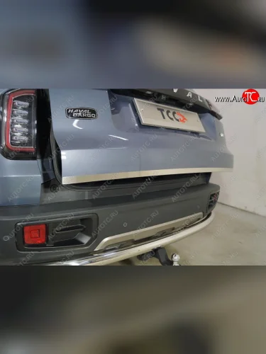 Накладка на заднюю дверь, ТСС Тюнинг (Лист шлифованный) Haval Dargo (2022-2025)