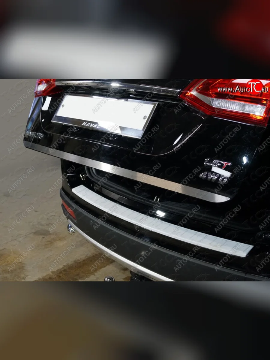 Накладка на заднюю дверь, ТСС Тюнинг Haval H6 (2013-2020) (Лист шлифованный)  в Керчи Республика Крым