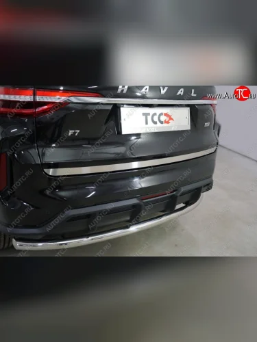 Накладка на заднюю дверь, ТСС Тюнинг (Лист шлифованный) Haval F7 (2022-2024) рестайлинг
