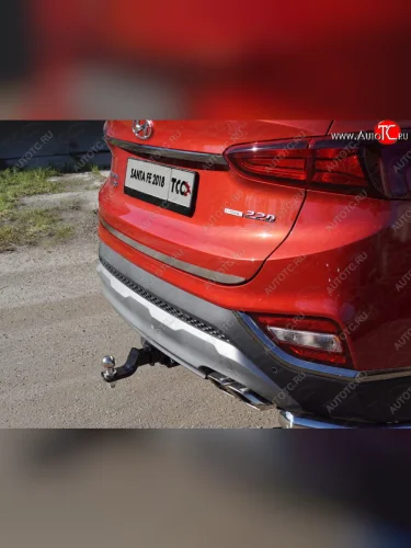Накладка на заднюю дверь, ТСС Тюнинг (Лист шлифованный) Hyundai Santa Fe TM дорестайлинг (2018-2021)