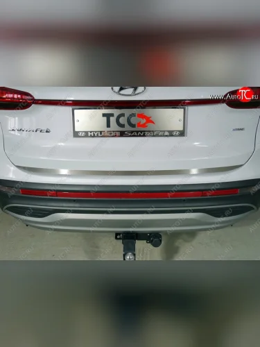 Накладка на заднюю дверь, ТСС Тюнинг (Лист шлифованный) Hyundai Santa Fe  TM (2020-2022) рестайлинг