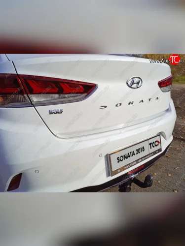Накладка на заднюю дверь ТСС Тюнинг (Лист шлифованный) Hyundai Sonata LF рестайлинг (2017-2019)
