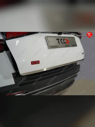 Накладка на заднюю дверь, ТСС Тюнинг (лист шлифованный) Omoda C5 (2021-2025)