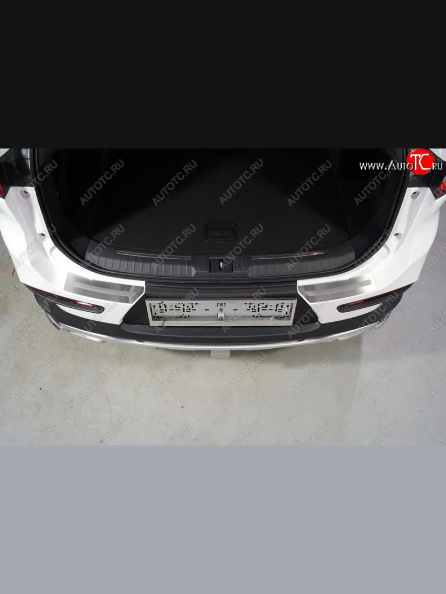 Накладки на задний бампер, ТСС Тюнинг EXEED TXL  дорестайлинг (2020-2021) (лист шлифованный с полосой)  в Воронеже Воронежской области