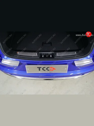 Накладки на задний бампер, ТСС Тюнинг (лист шлифованный с полосой) EXEED LX 1-ый рестайлинг (2021-2025)
