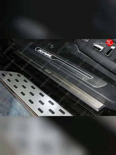 Накладки на пластиковые пороги, ТСС Тюнинг (лист шлифованный надпись Н9) Haval H9 1-ый рестайлинг (2017-2019)