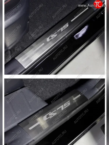 Накладки на пластиковые пороги, ТСС Тюнинг (лист шлифованный надпись CS75) Changan CS75 1-ый рестайлинг (2018-2022)
