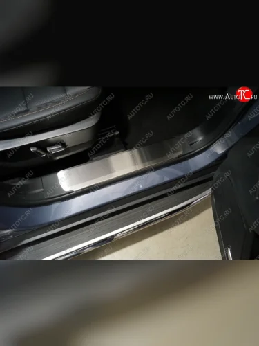 Накладки на пластиковые пороги, ТСС Тюнинг (лист шлифованный) Haval Dargo (2022-2025)