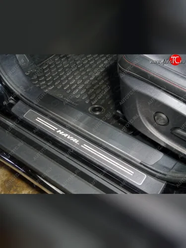 Накладки на пластиковые пороги, ТСС Тюнинг (лист шлифованный) Haval H6 (2013-2020)