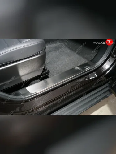 Накладки на пластиковые пороги, ТСС Тюнинг (лист шлифованный) Haval F7x рестайлинг (2022-2024)