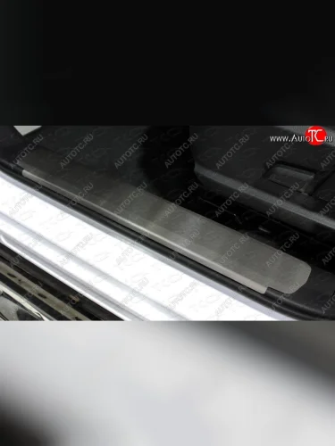 Накладки на пластиковые пороги, ТСС Тюнинг (лист шлифованный) Haval F7  дорестайлинг (2018-2022)