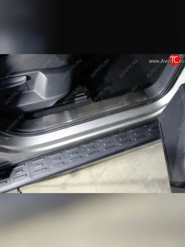 Накладки на пластиковы пороги, ТСС Тюнинг (лист шлифованный) Volkswagen Tiguan Mk2 дорестайлинг (2016-2020)
