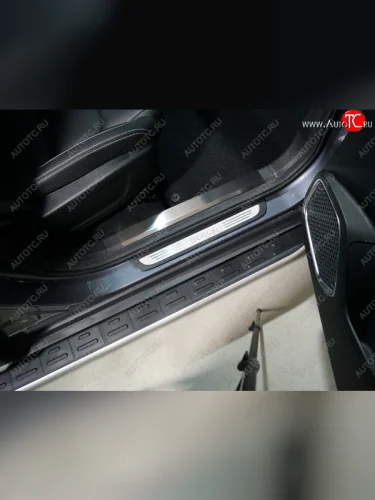 Накладки на пластиковые пороги, ТСС Тюнинг (лист шлифованный) Geely Atlas NL3 (2016-2022)