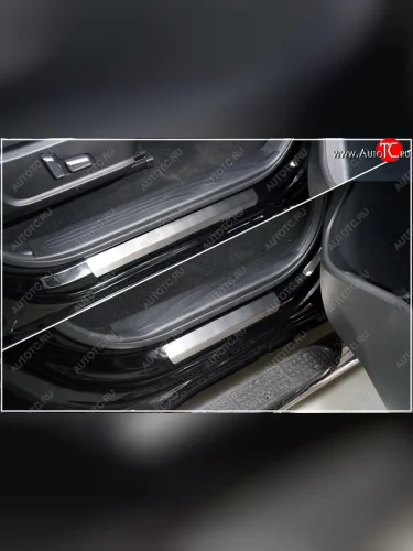 Накладки на пластиковые пороги, ТСС Тюнинг (лист шлифованный) Great Wall Poer (2021-2025)