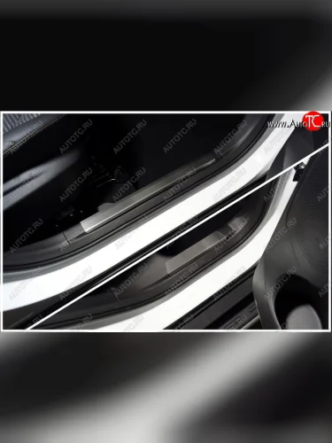 Накладки на пластиковые пороги, ТСС Тюнинг (лист шлифованный) JAC JS4 (2021-2025)