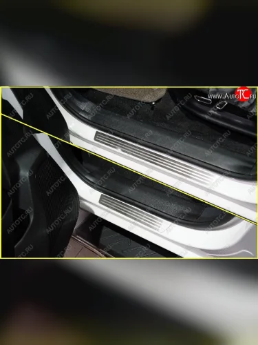 Накладки на пороги, ТСС Тюнинг (лист шлифованный с полосой) Changan LAMORE (2023-2025)