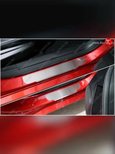 Накладки на пороги, ТСС Тюнинг (лист шлифованный) Isuzu D-Max RG DoubleCab (2020-2023)