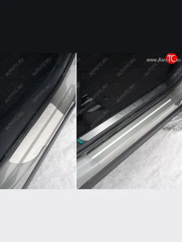 Накладки на пороги, ТСС Тюнинг (лист шлифованный 1мм) Lexus NX200T Z10 (2014-2017)