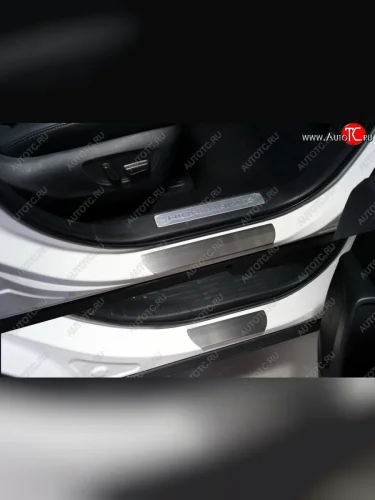 Накладки на пороги, ТСС Тюнинг (лист шлифованный) Toyota Highlander XU70 (2020-2025)