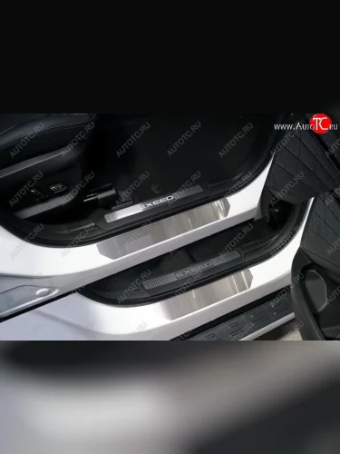 Накладки на пороги, ТСС Тюнинг (Лист шлифованный) EXEED TXL  дорестайлинг (2020-2021)
