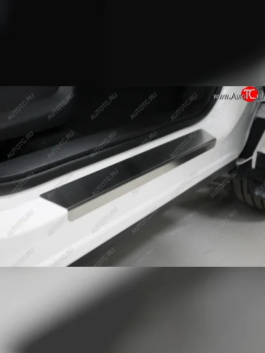 Накладки на пороги, ТСС Тюнинг (лист шлифованный) Chery Tiggo 7 PRO (2019-2025)