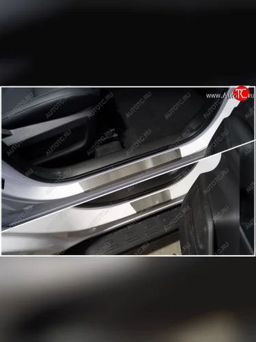 Накладки на пороги, ТСС Тюнинг (лист шлифованный) Chery Tiggo 4 Pro (2021-2025)