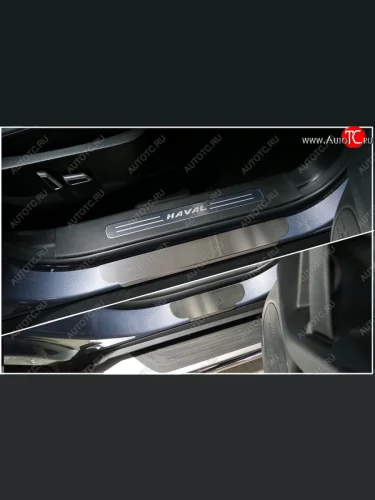 Накладки на пороги, ТСС Тюнинг (лист шлифованный) Haval Dargo (2022-2025)