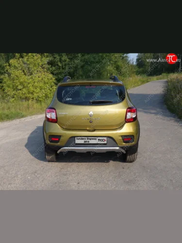 Защита задняя (нержавейка 42,4 мм), ТСС Тюнинг Renault Sandero Stepway  2 (2014-2018) дорестайлинг