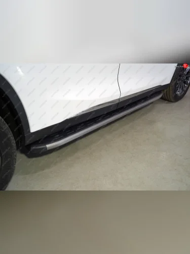 Пороги алюминиевые с пластиковой накладкой ТСС Тюнинг (карбон серые) EXEED TXL 1-ый рестайлинг (2021-2025)