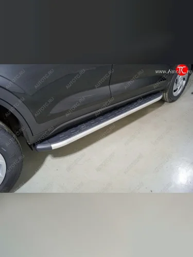 Пороги алюминиевые с пластиковой накладкой ТСС Тюнинг (серые) Hyundai Creta SU (2020-2022)