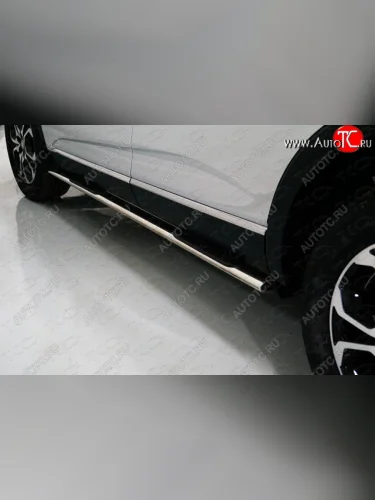 Пороги овальные с накладкой 75х42 мм ТСС Тюнинг (серые) Renault Arkana (2019-2025)