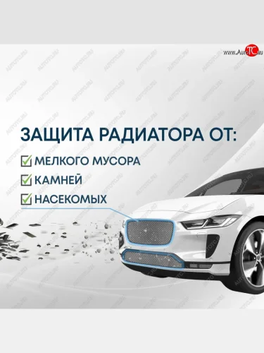 Защитная сетка в бампер (низ, ячейка 3х7 мм) Alfeco Стандарт (Хром) EXEED RX (2022-2025)