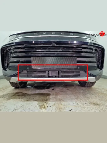 Защитная сетка в бампер (низ, 4 части, ячейка 3х7 мм) Alfeco Стандарт (Чёрная) EXEED TXL 1-ый рестайлинг (2021-2025)