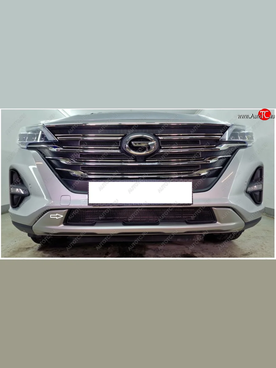 Защитная сетка в бампер (низ, ячейка 3х7 мм) Alfeco Стандарт GAC GS5 (2018-2025) (Чёрная)  с доставкой в г. Пермь