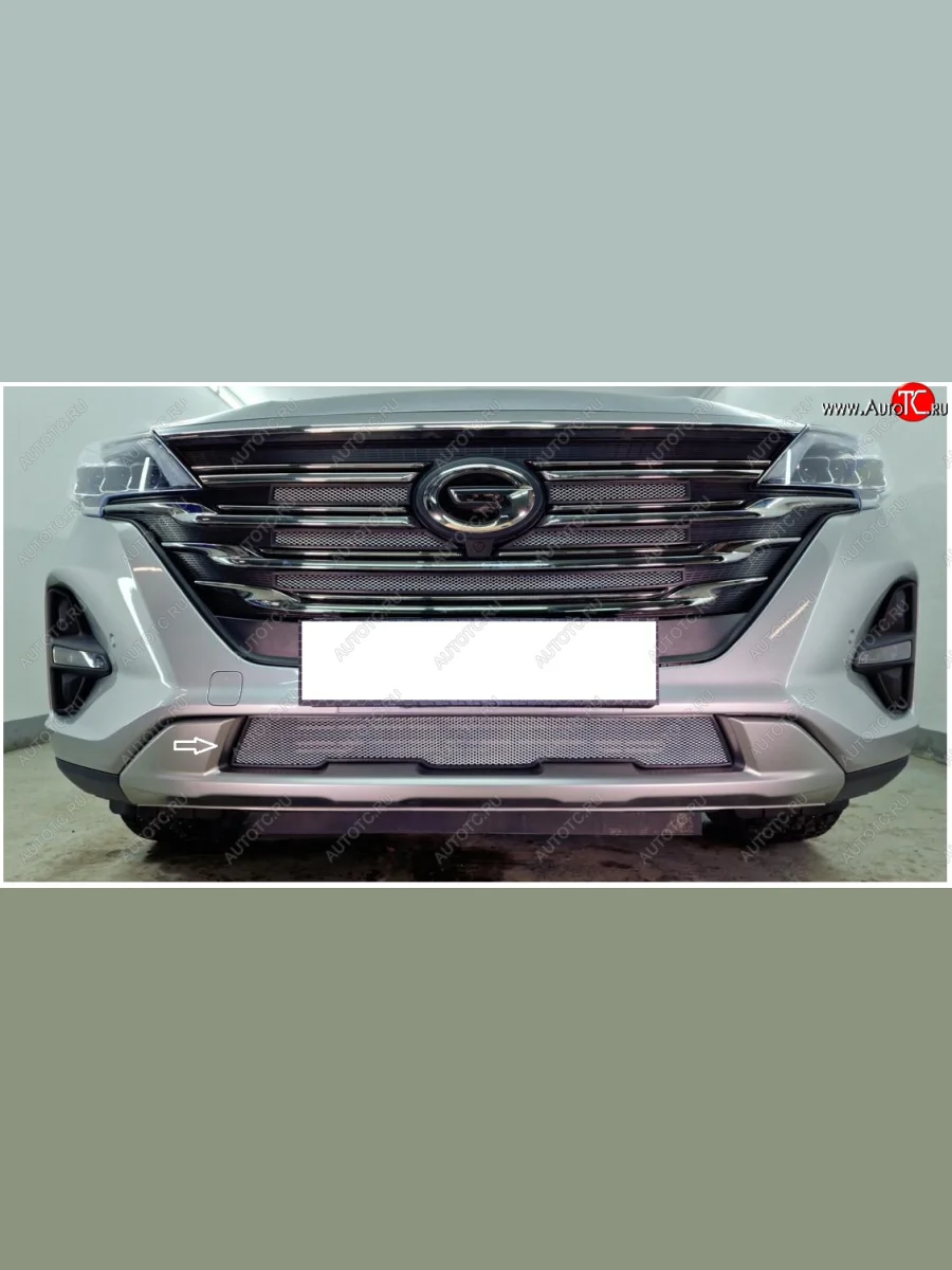 Защитная сетка в бампер (низ, ячейка 3х7 мм) Alfeco Стандарт GAC GS5 (2018-2025) (Хром)  с доставкой в г. Керчь