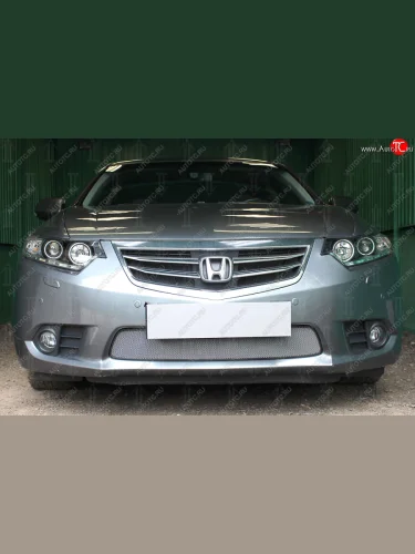 Защитная сетка в бампер (низ, ячейка 3х7 мм) Alfeco Стандарт (Хром) Honda Accord 9 CR седан дорестайлинг (2013-2016)