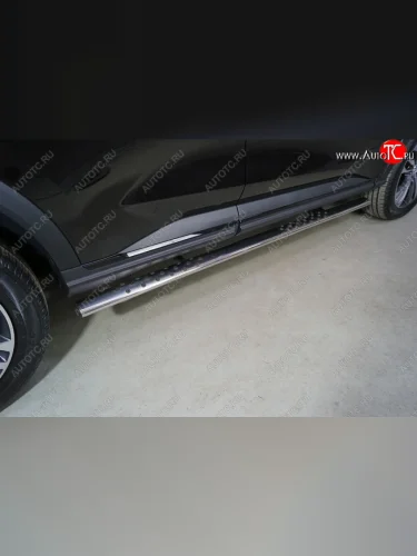 Пороги овальные с проступью 75х42 мм ТСС Тюнинг (серые) Haval F7 рестайлинг (2022-2024)