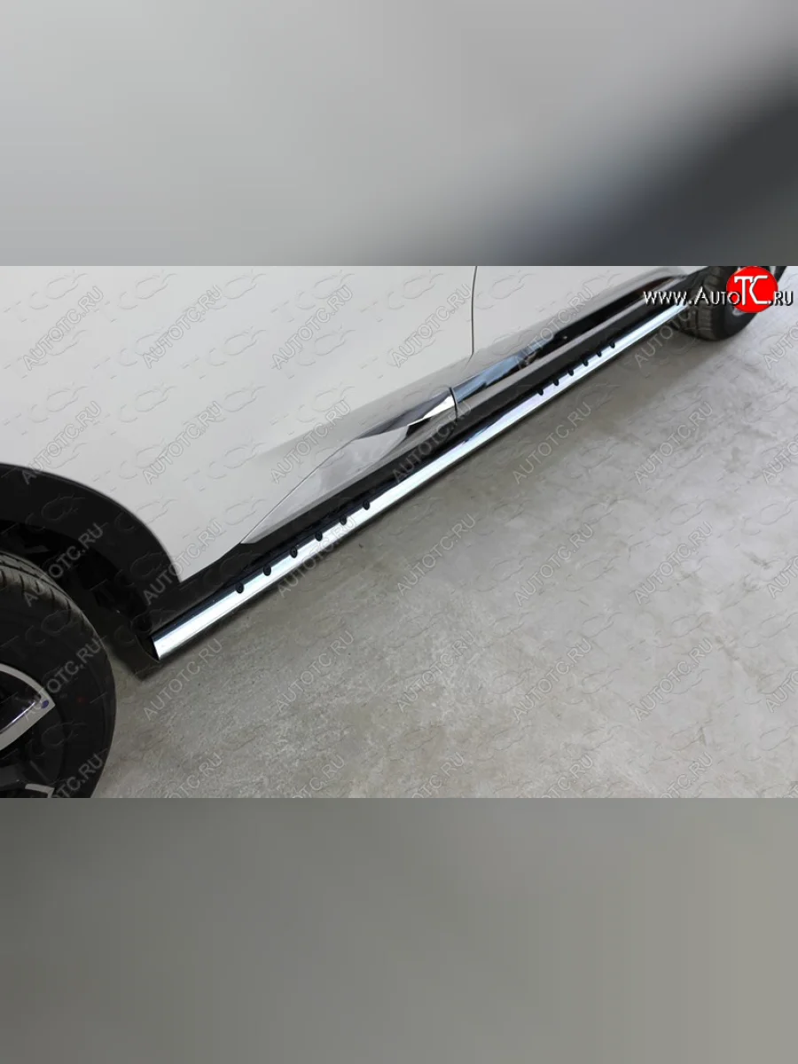 Пороги овальные с проступью 75х42 мм ТСС Тюнинг Haval F7  дорестайлинг (2018-2022) (серые)  в Перми Пермском крае