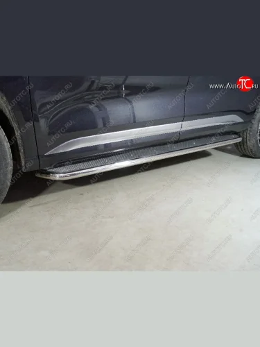 Пороги с площадкой 42,4 мм ТСС Тюнинг EXEED VX дорестайлинг (2020-2023)