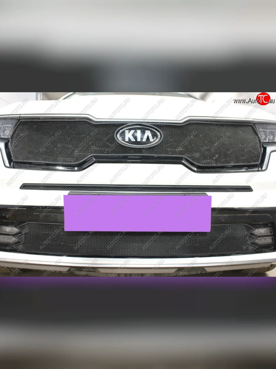 Защитная сетка в бампер (середина, ячейка 3х7 мм) Alfeco Стандарт KIA Sorento MQ4 (2020-2022) (Чёрная)  в Перми Пермском крае