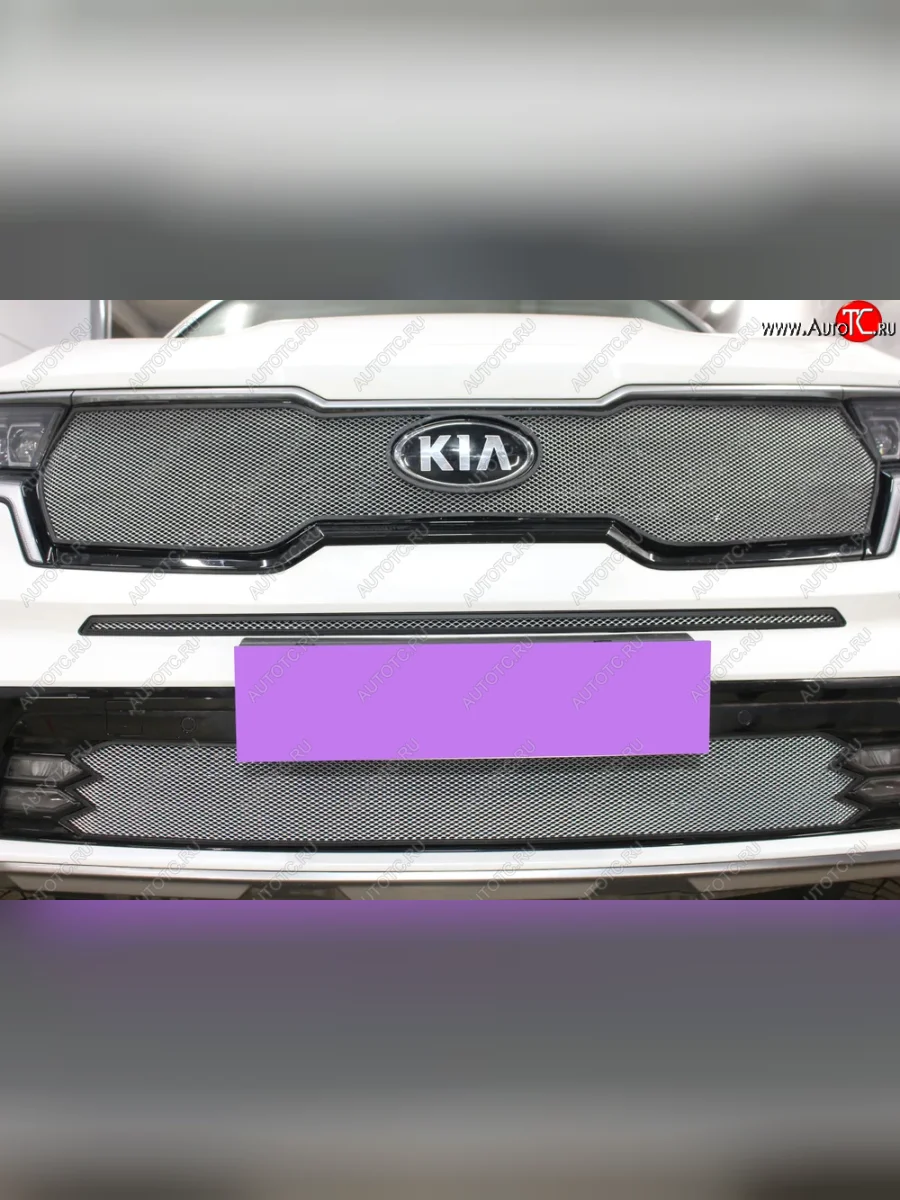 Защитная сетка в бампер (середина, ячейка 3х7 мм) Alfeco Стандарт KIA Sorento MQ4 (2020-2022) (Хром)  в Перми Пермском крае