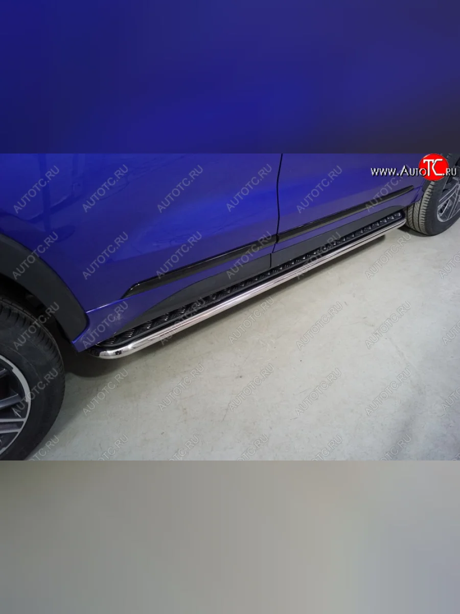 Пороги с площадкой 42,4 мм ТСС Тюнинг EXEED LX 1-ый рестайлинг (2021-2025) (серые)  с доставкой в г. Керчь