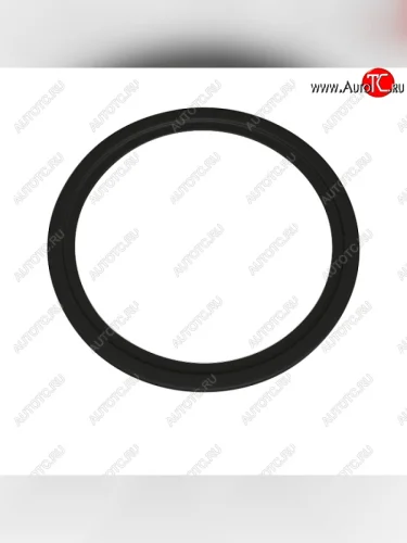 РТИ (кольцо уплотнительное) бензонасоса бака БАКОР FAW Jinn (2005-2009)