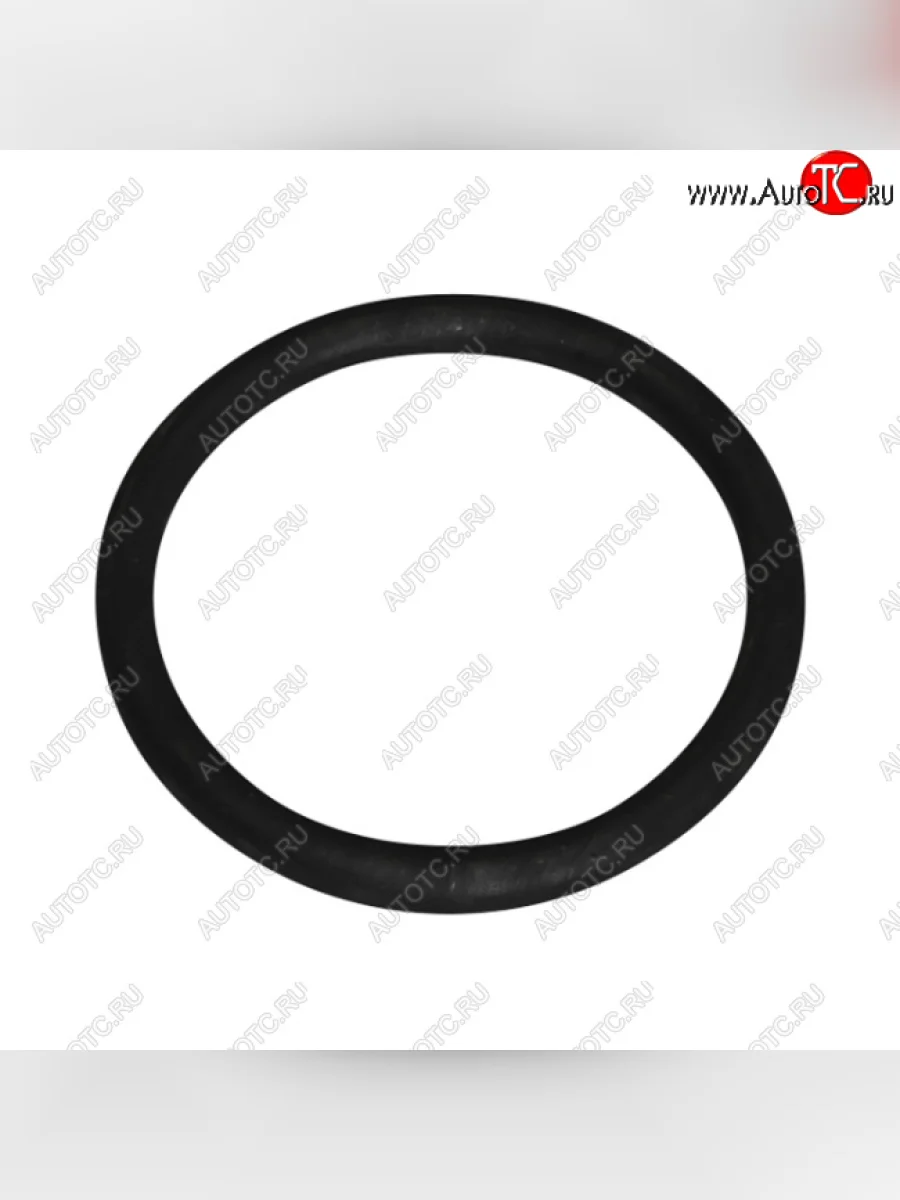РТИ (кольцо уплотнительное) топливозаборника Евро, БАКОР Isuzu NQR75 (2007-2025)