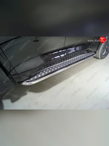 Пороги с площадкой 75х42 мм ТСС Тюнинг (серые) Great Wall Poer (2021-2025)