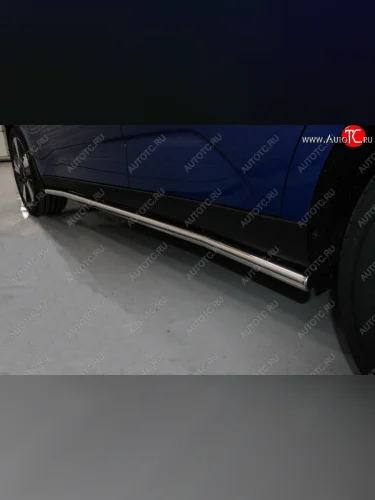 Защита порогов труба d42,4 мм ТСС Тюнинг (серые) KIA Soul SK3 (2018-2022)